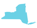 In New York, the loss of chance doctrine has not been recognized by our state’s highest court, the Court of Appeals.