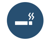 cigarette-lighters icon