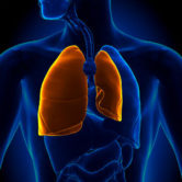 collapsed lung injury